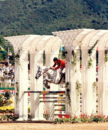 Showjumper  Gem Twist